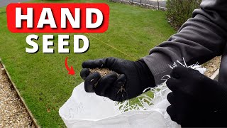 Cheapest Way To Overseed A Patchy Lawn  No Tools [upl. by Cerelia]