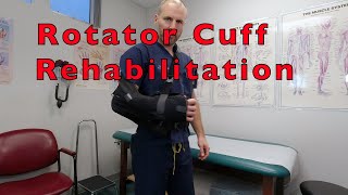 Top 3 Tests amp Exercises for Rotator Cuff Pain [upl. by Fulton]