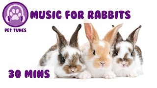 Relaxation Music or Rabbits Rabbit Music to Help Calm Down your Bunny [upl. by Deonne]