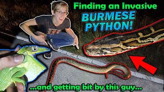 Finding INVASIVE Reptiles in Florida [upl. by Toffey]