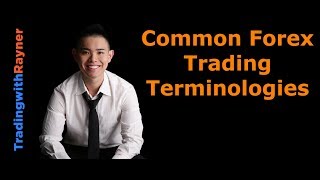 Forex Trading for Beginners 4 Common Forex Trading Terminologies by Rayner Teo [upl. by Denison]