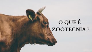 O que é ZOOTECNIA [upl. by Barney]