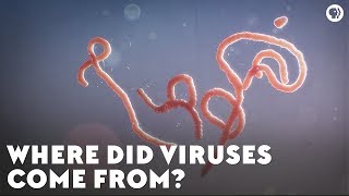 Where Did Viruses Come From [upl. by Ehcor]