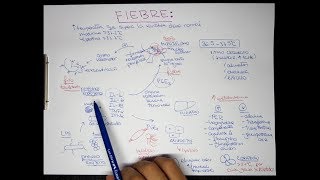 FIEBRE Fisiopatología [upl. by Ardua]