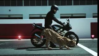 Bike and cheetah ya lili ya lela remix songs 2019 y2h statas [upl. by Animlehliw]