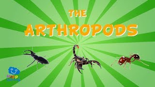 The Arthropods  Educational Video for Kids [upl. by Colpin]