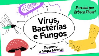 VÍRUS BACTÉRIAS E FUNGOS  BIOLOGIA  Mapa Mental  Quer Que Desenhe [upl. by Legir]