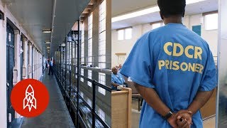 5 Incredible Prison Rehabilitation Programs [upl. by Justino]