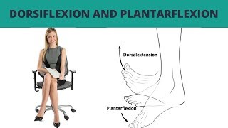 Dorsiflexion and Plantarflexion  TERMINOLOGY 7 [upl. by Ecienal976]