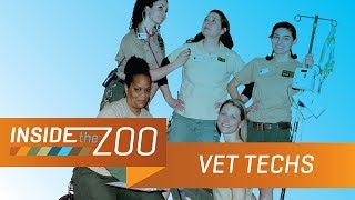 Veterinary Technicians  Inside the Zoo Hospital Ep 3 [upl. by Ecydnak]