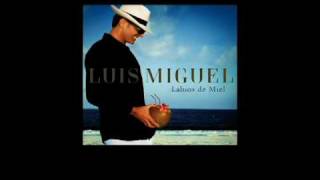 Luis Miguel  Labios de Miel Sencillo Oficial con Letra [upl. by Hey]