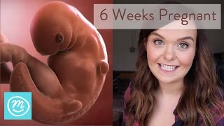 6 Weeks Pregnant What You Need To Know  Channel Mum [upl. by Ahsened]