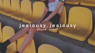 olivia rodrigo  jealousy jealousy slowed  reverb [upl. by Eniotna]