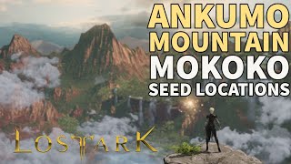 ALL Ankumo Moutain MOKOKO SEEDS  Lost Ark Collectibles [upl. by Ahsyat167]