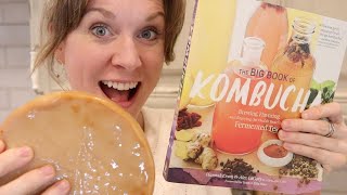 How to BREW YOUR OWN KOMBUCHA  how to MAKE KOMBUCHA at home  Kombucha Tea [upl. by Vizza]