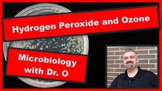 Hydrogen Peroxide and Peroxygens Microbiology [upl. by Ennybor]