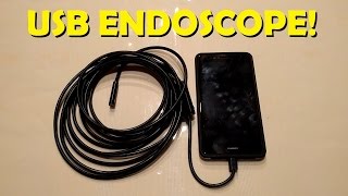 USB Endoscope  Abask 5m Product Review [upl. by Chappie]