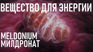 Meldonium Review [upl. by Alyse]