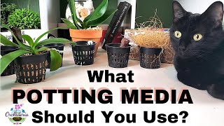 How To Choose The Right Potting Medium for Your Orchid [upl. by Tivad]