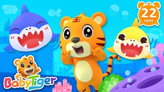 Animals Songs  More Nursery Rhymes amp Kids Songs  Baby Tiger [upl. by Mauve538]