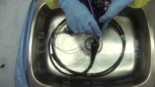 Flexible Endoscope Reprocessing  Manual Cleaning [upl. by Shira]