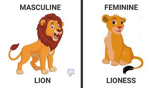 Learn Genders in English with picturesLearn masculine Feminine Gender [upl. by Meekah]