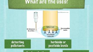 A level S6 Biosensors Ms Cooper [upl. by Shapiro]