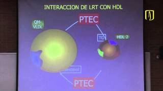 Metabolismo de lípidos  Bioquímica médica [upl. by Odel]