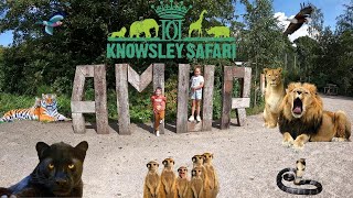 Knowsley Safari Park  Full safari Tour [upl. by Summons]