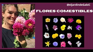 FLORES COMESTIBLES Pétalos que se comen y se utilizan para cocinar o decorar platos [upl. by Edny]