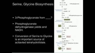 Serine Glycine Biosynthesis [upl. by Siloa88]