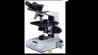 Micro Lab 3 Introduction to Compound Light Microscopy [upl. by Nicol895]