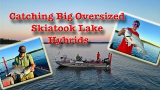 Skiatook Lake Hybrid Bass Fishing [upl. by Heer]