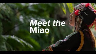 Meet the Miao [upl. by Keelia]