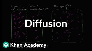 Diffusion  Membranes and transport  Biology  Khan Academy [upl. by Aicilaf292]