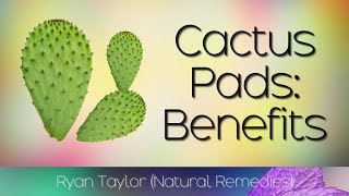 Cactus Leaf Benefits amp Uses Nopales [upl. by Akili949]