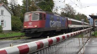 Nachruf Der Bahnübergang „Langenweg“ in Lindau Bodensee ist Geschichte [upl. by Rodolfo]