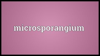 Microsporangium Meaning [upl. by Irodim]