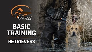 Basic Training  Retrievers [upl. by Adialeda]