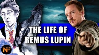 The Entire Life of Remus Lupin New Origins Explained [upl. by Ilario124]