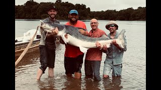 Guyana Amazon River Fishing  Essequibo River 2019 [upl. by Walt]