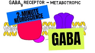 2Minute Neuroscience GABA [upl. by Letta128]