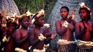 Beautiful Traditional African Zulu Dancing Africa Travel Channel [upl. by Karsten790]