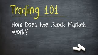 Trading 101 How Does the Stock Market Work [upl. by Delfeena276]