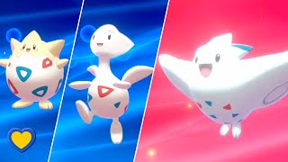 HOW TO Evolve Togepi into Togekiss in Pokémon Sword and Shield [upl. by Meng]