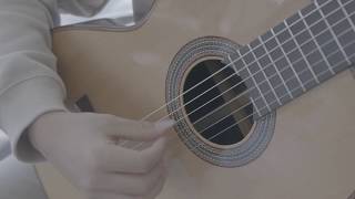 Altamira N600 Guitar  Product Demonstration [upl. by Molohs]