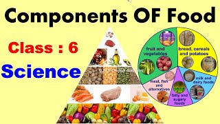 Components Of Food  Full Chapter  Class  6  SCIENCE  CBSE  NCERT  Deficiency diseases [upl. by Notnats]