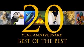 Best of the Best 20 Years of Natures Best Photography [upl. by Hengel369]