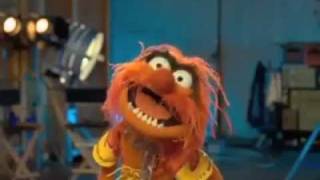 Animal  The Muppets  quotMahna Mahnaquot [upl. by Areip]