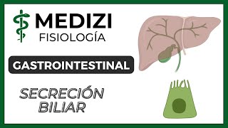 Clase 51 Fisiología Gastrointestinal  Secreción Biliar IGdoctorpaiva [upl. by Oppen]